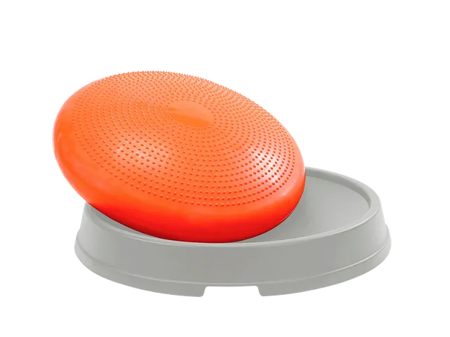 gymnic-disco-dome-balance-stepp-mit-propriorezeptiv-kissen image 1