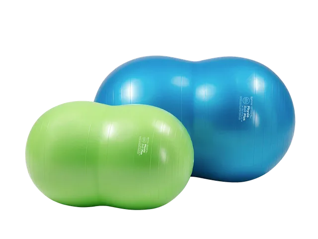 gymnic-physio-roll-plus-doppelball-physiotherapie-trainingsball image 1