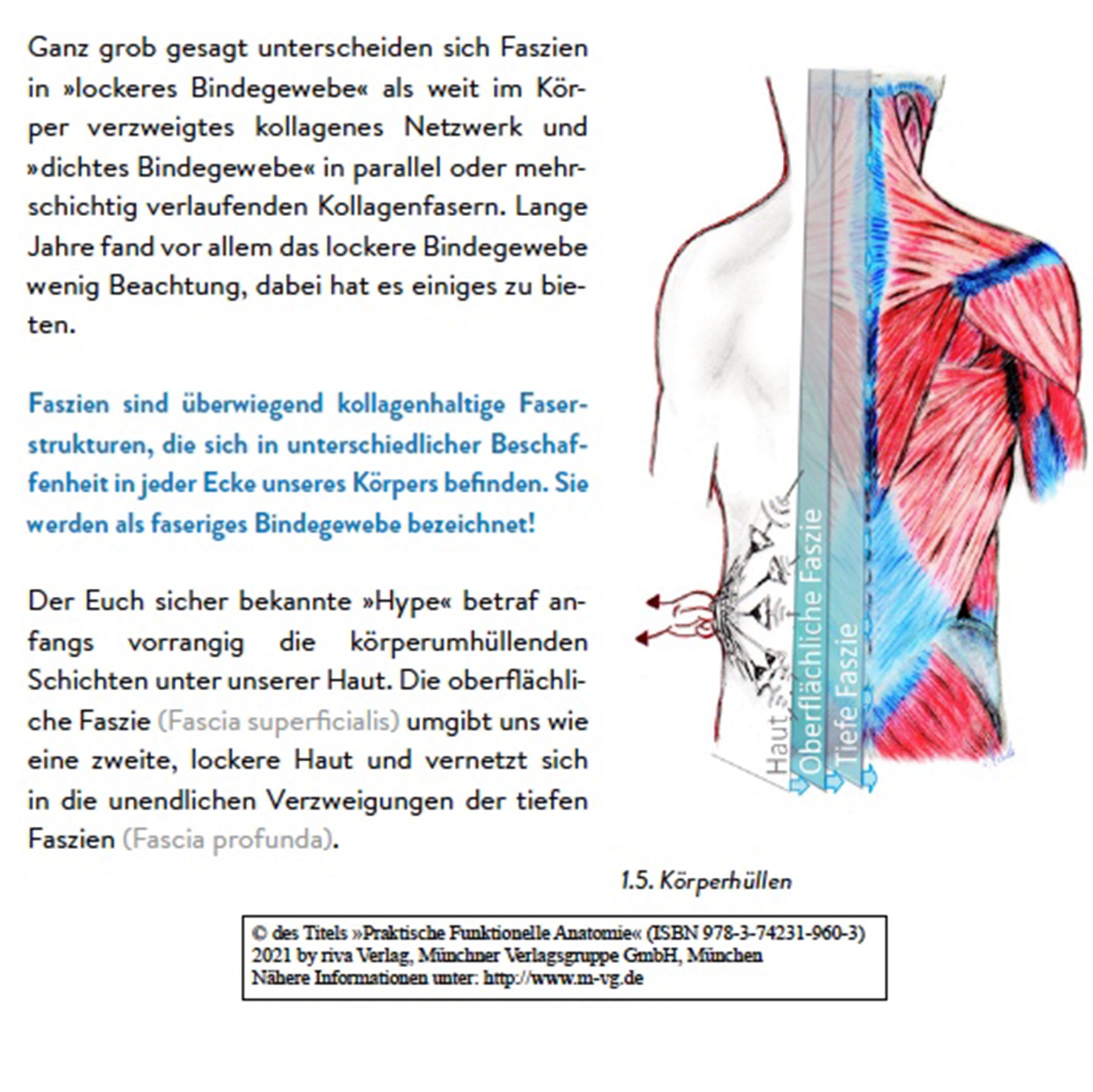 flexvit-book-nici-mende-funktionelle-anatomie-trainingsbuch image 2