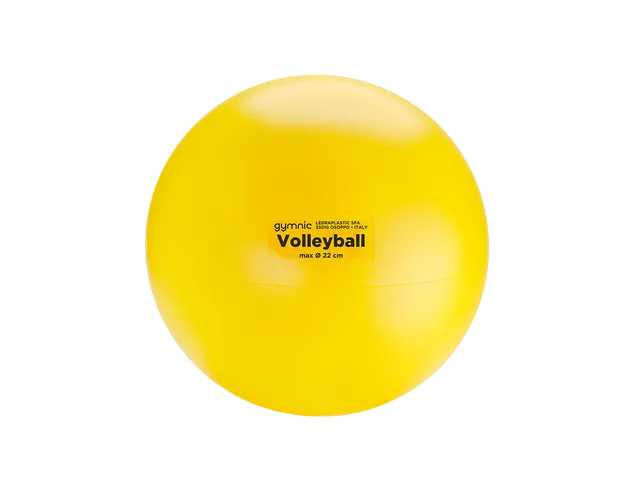 gymnic-volleyball-soft-touch-trainingsball-f-r-spiel-und-low-impact image 1
