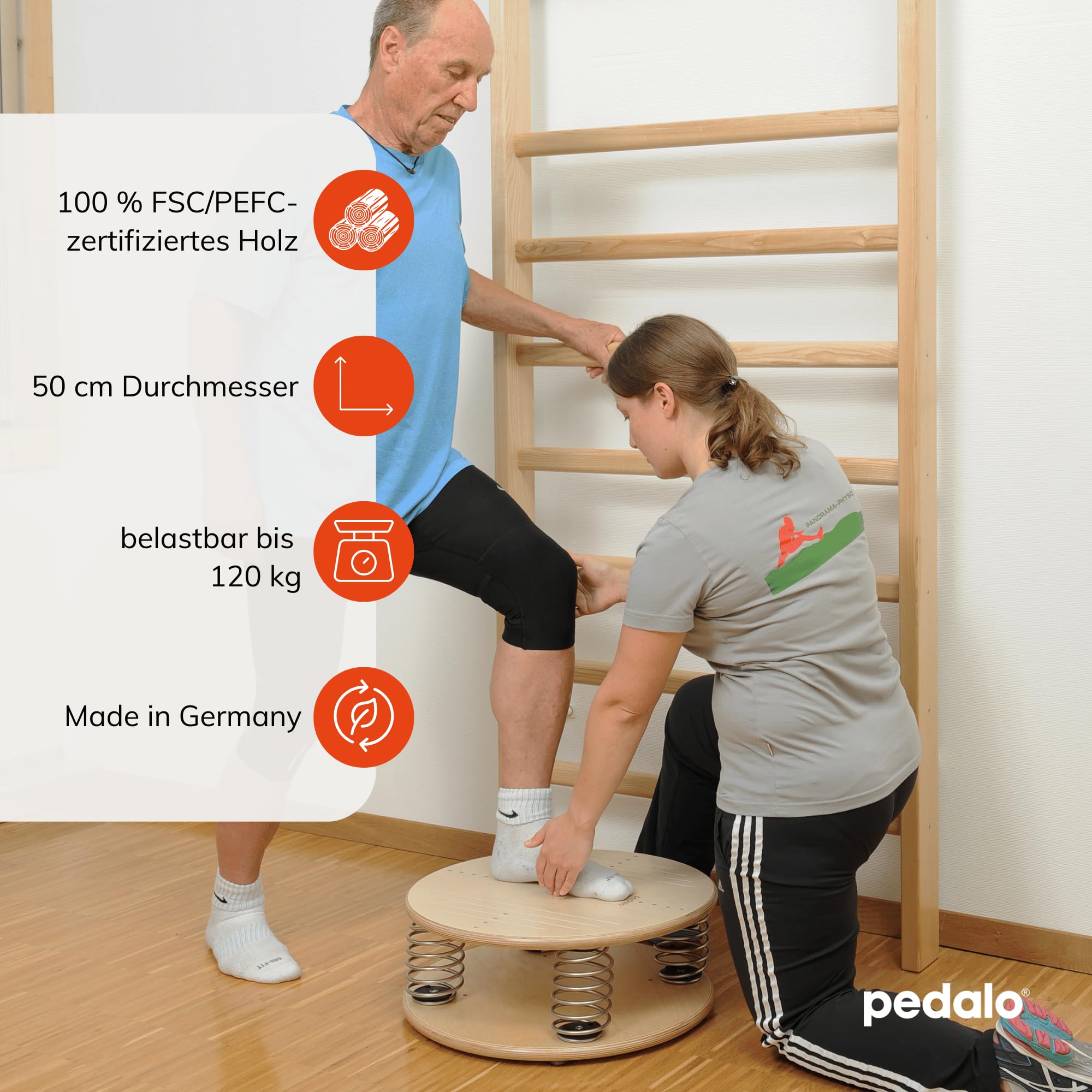 pedalo-vestimed-federbrett-balance-board-propriozeptives-training image 3