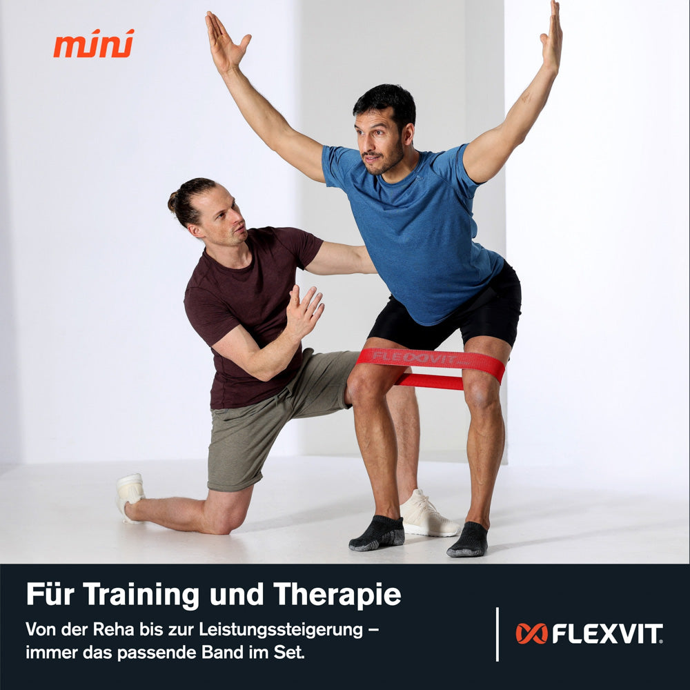 flexvit-trainer-set-widerstandsb-nder-profi-equipment-set image 4