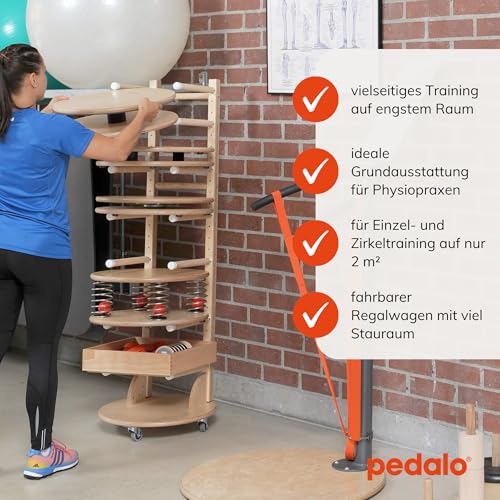 pedalo-physiostation-5s-therapie-und-trainingsstation image 8