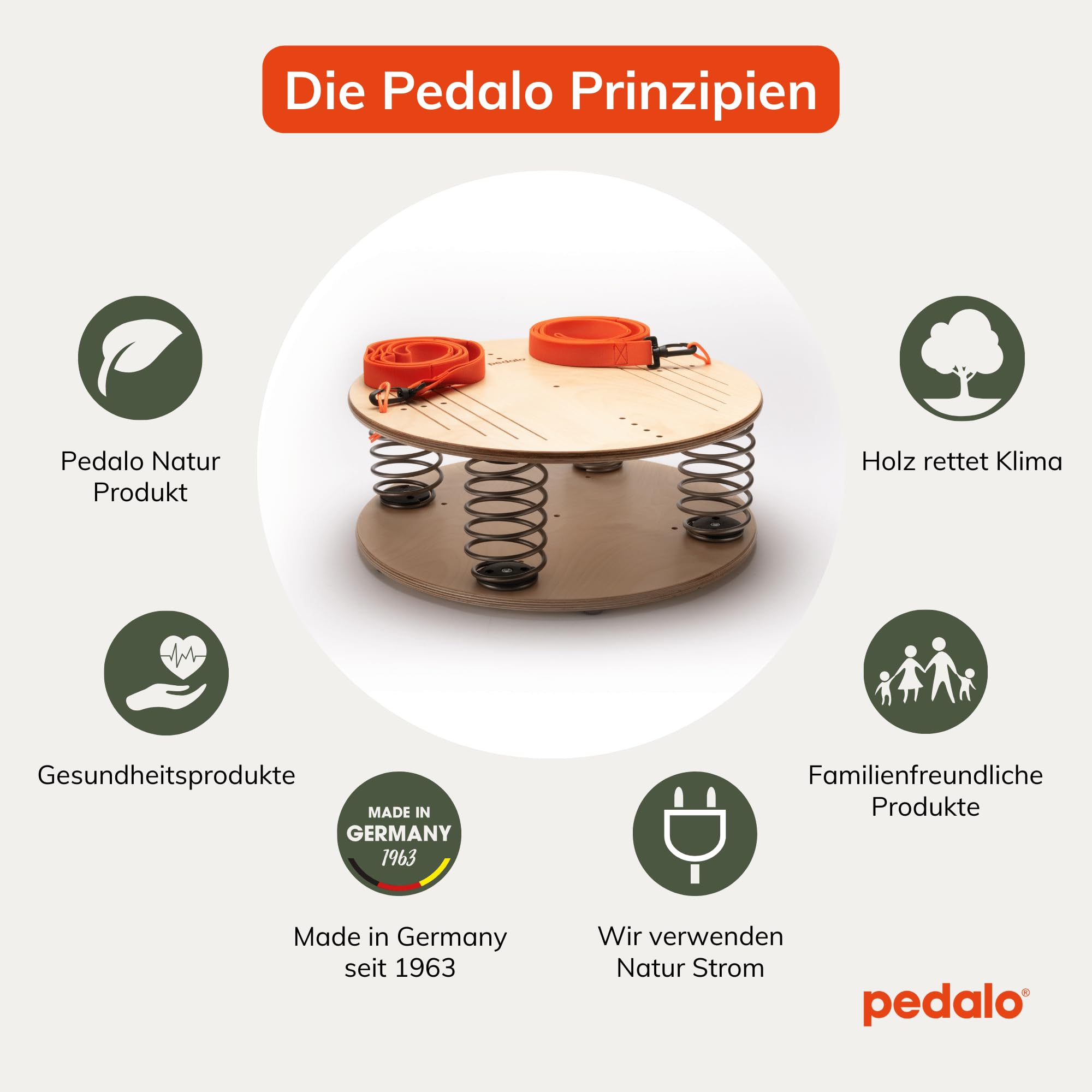 pedalo-vestimed-federbrett-balance-board-propriozeptives-training image 5