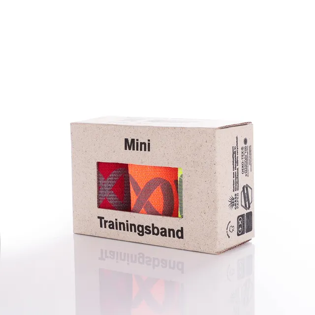 flexvit-mini-3er-set-basic-gelb-1-6-rot-3-6-blau-5-6-in-geschenkverpackung image 1